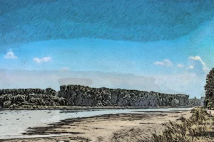 Rhein bei Niedrigwasser