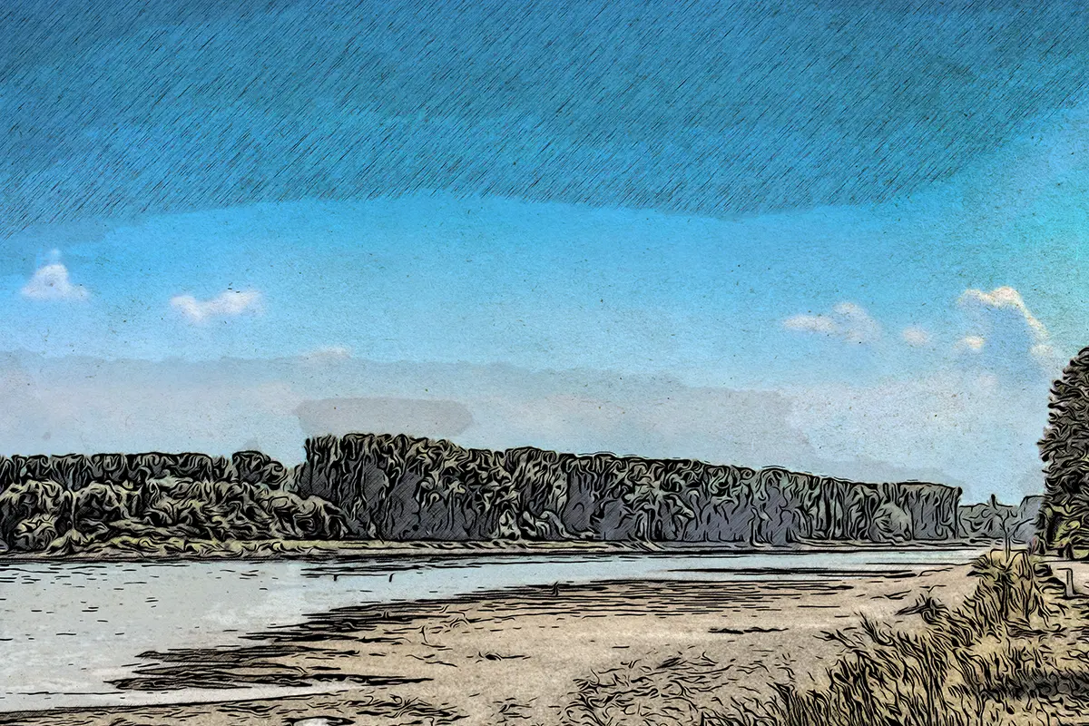Rhein bei Niedrigwasser
