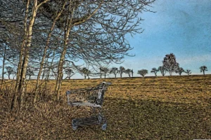 Einkaufswagen am Waldrand