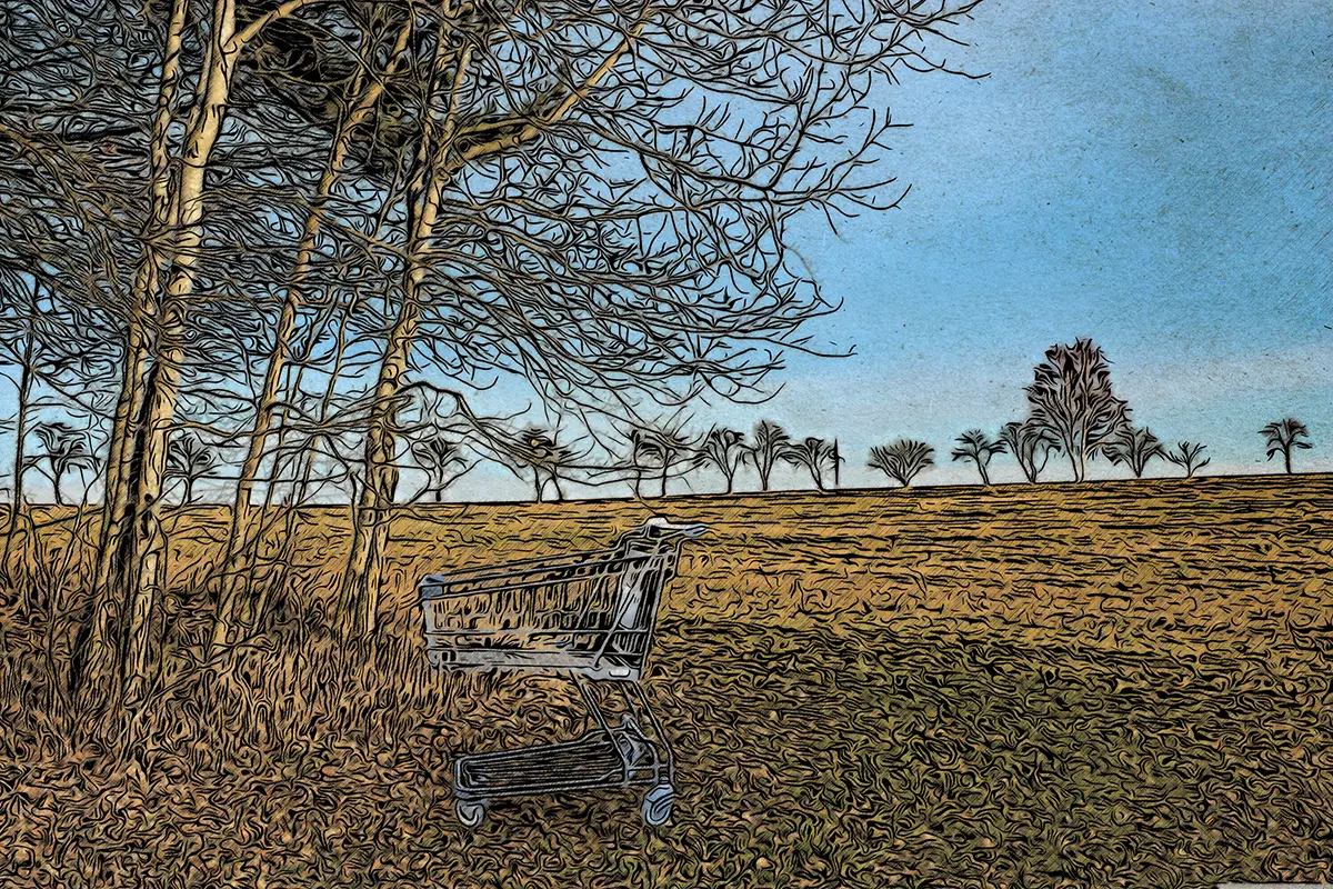 Einkaufswagen am Waldrand