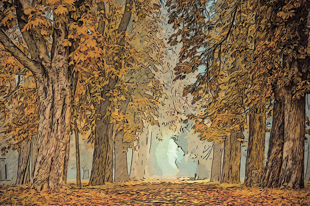 Herbstliche Bäume